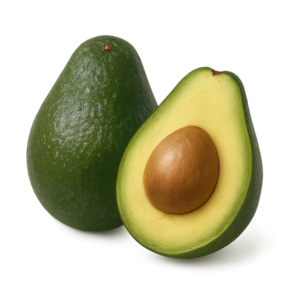 Avocat – Image 1