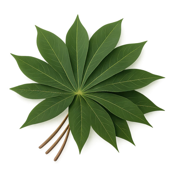 Feuille de manioc Saka-saka – Image 1