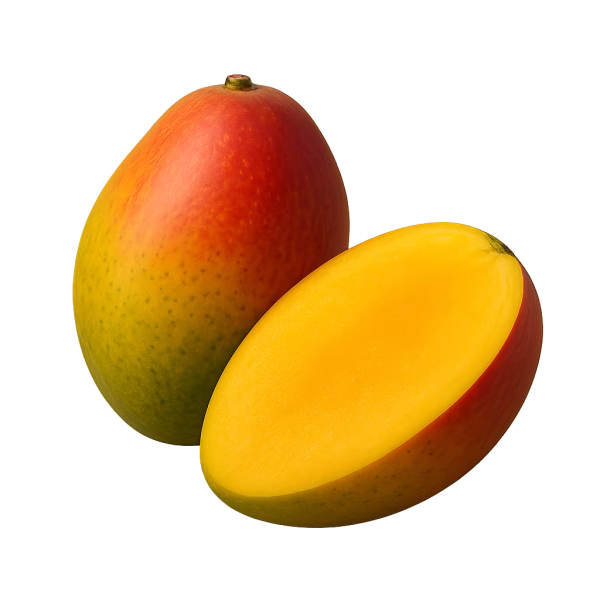 Mangue – Image 1