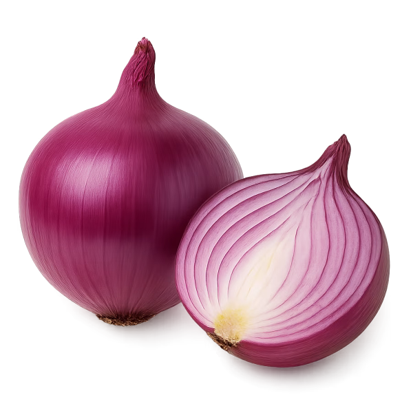 Oignon – Image 2