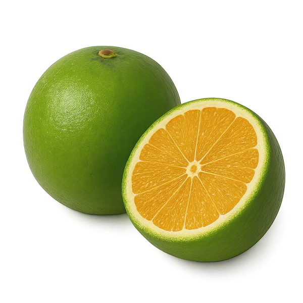Orange – Image 1