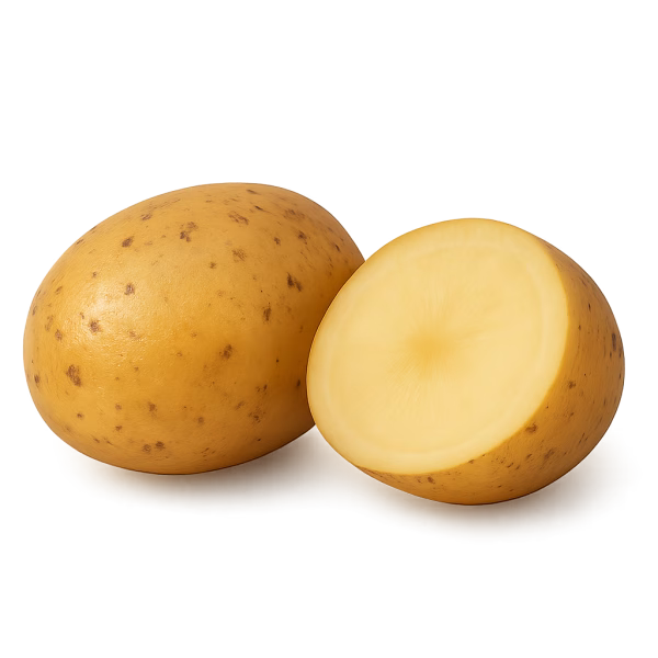 Pomme de terre – Image 1