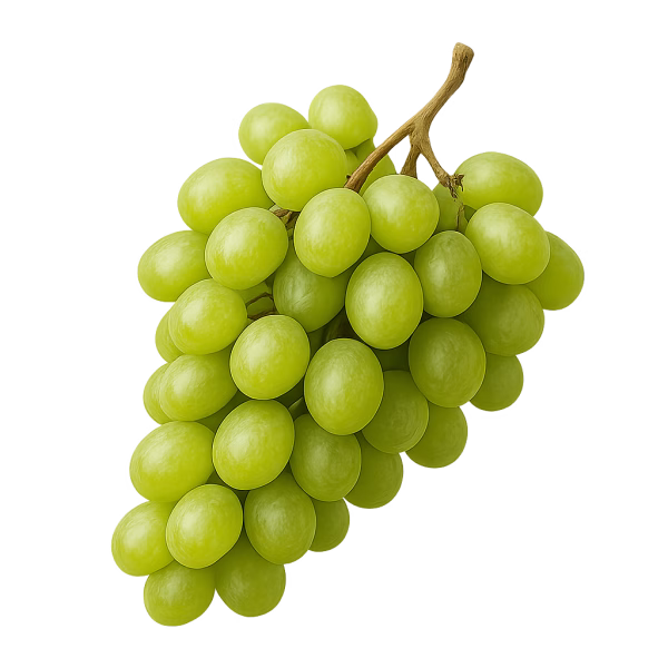 Raisin – Image 1