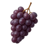 Raisin – Image 2