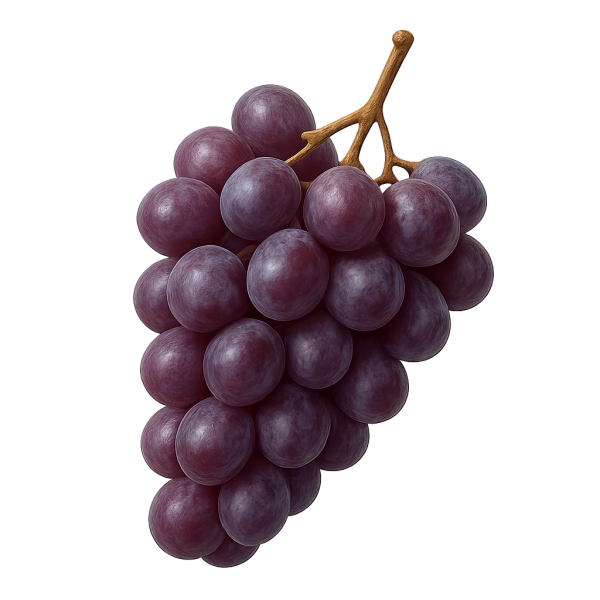 Raisin – Image 2