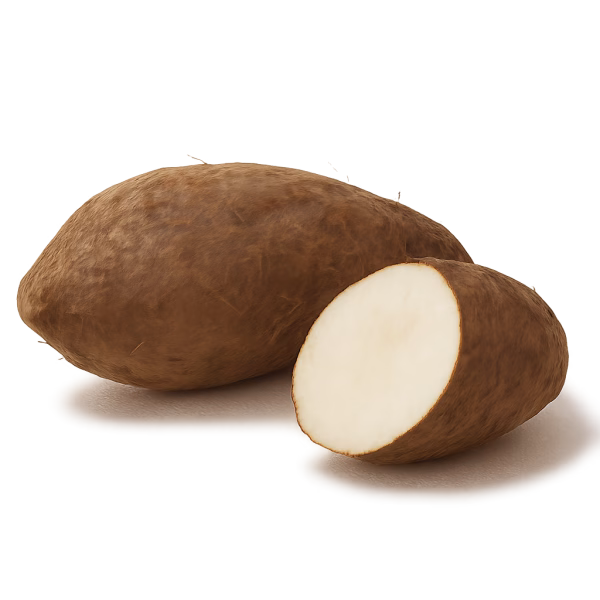 Tubercule de manioc – Image 1
