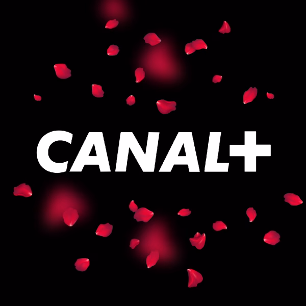 Canal+ Congo : Réabonnement TV – Image 1
